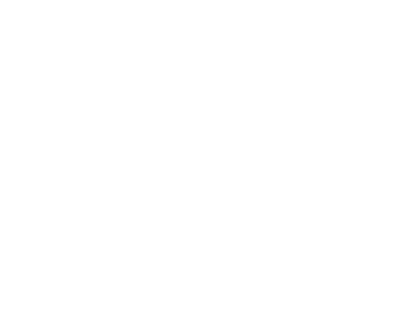 Silicone Expo USA